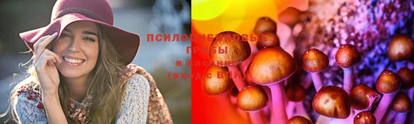 меф Новозыбков
