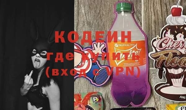 индика Новокубанск