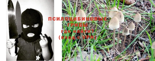 spice Балабаново