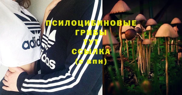 винт Балахна