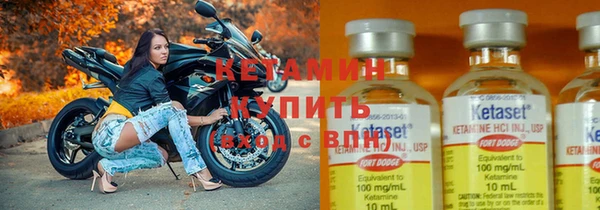 индика Новокубанск